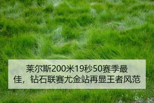 lai-er-si-mi-miao-sai-ji-zui-jia-zuan-shi-lian-sai-you-jin-zhan-zai-xian-wang-zhe-feng-fan-2-947.jpg